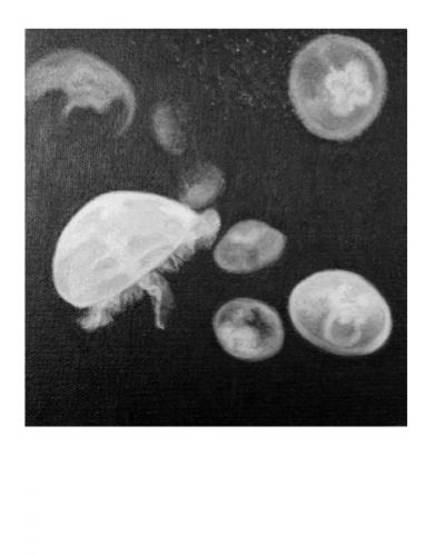 Pola 39 - Huile sur toile - 24x19cm