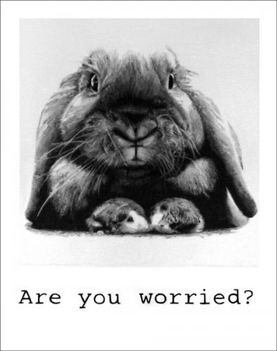 Pola 42 - Huile sur toile - 24x19cm