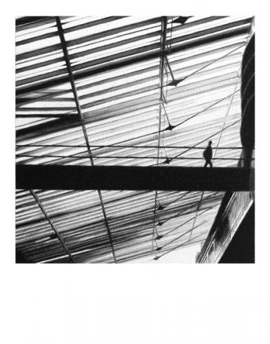 Pola 54 - Huile sur toile - 24x19cm